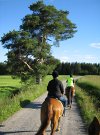 Horseback riders